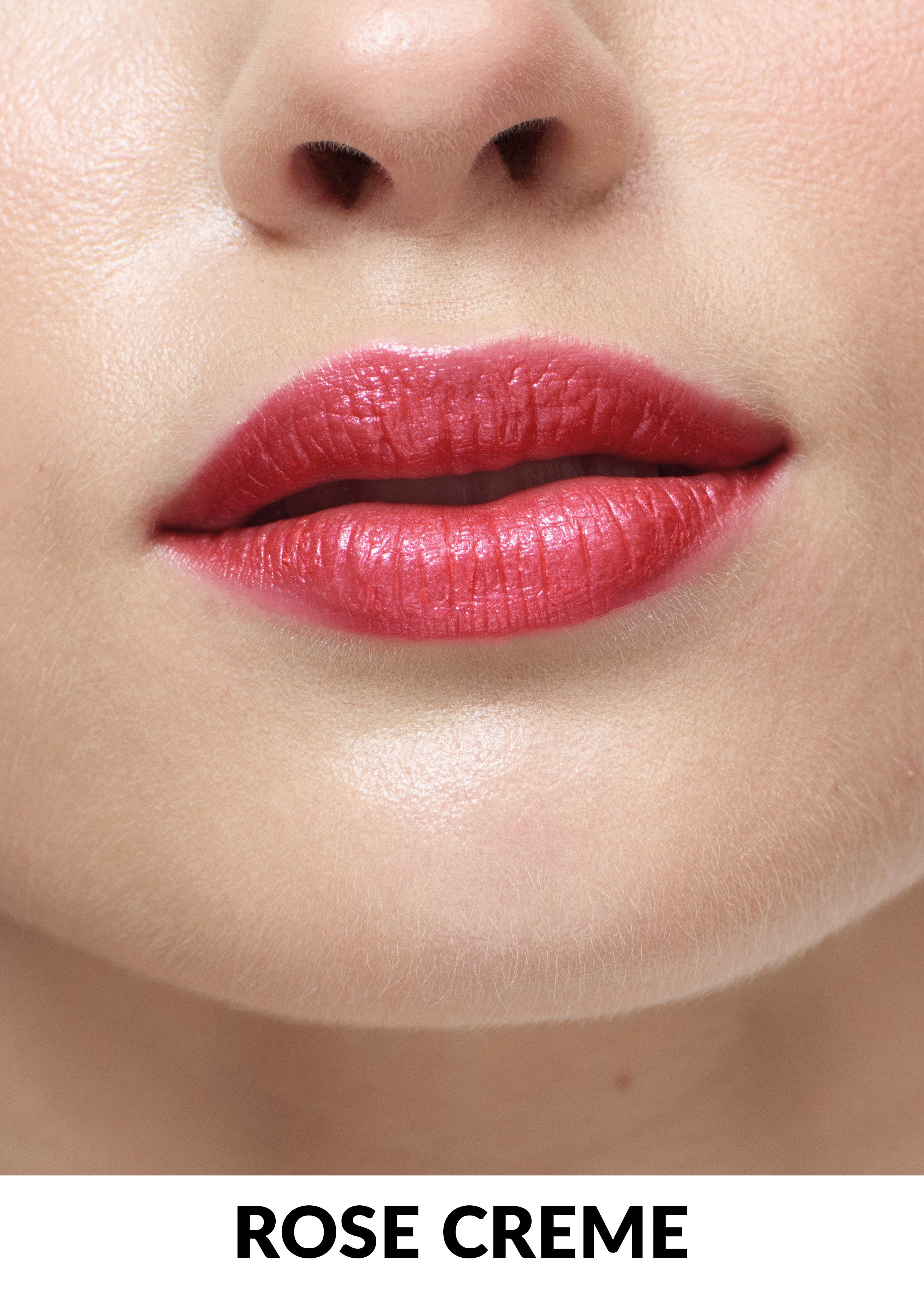 Color Trend Get Pouty Lip Stylo